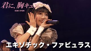 【LIVE】君に、胸キュン。「エキゾチック・ファビュラス」Live at Lives NAGOYA（2023.2.12）