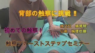 背部の触察に挑戦！（指導：斎藤瑞穂）／オープンパス・メソッド®／ボディワーク