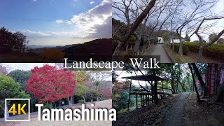 [4K] late Autumn Walk 🍁 Entsuji Park, Tamashima, Japan | 4K Nature Sounds