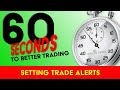 Using Trade Alerts to Optimize Time and Money | [TradersArmy.com]