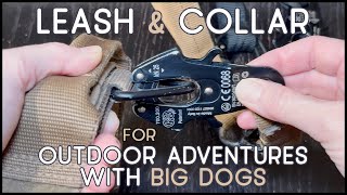Versatile Leash & Collar for Outdoor Adventures with Big Dogs: Ray Allen Manufacturing (RAMCO) Gear