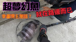 路邊的釣點就有【夢幻魚】，是不能說的秘密嗎？in台中港