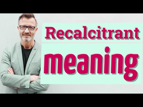 Where did the word recalcitrant originate from?