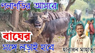 পলাশডির আসরের এক নাম্বার কাড়া || হারাধন মাহাত, রাওতোড়া || Palashdih Kara Larai