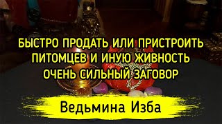 БЫСТРО ПРОДАТЬ ИЛИ ПРИСТРОИТЬ ПИТОМЦЕВ И ИНУЮ ЖИВНОСТЬ. ОЧЕНЬ СИЛЬНЫЙ ЗАГОВОР. ДЛЯ ВСЕХ