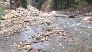 Our Eskies playing in the St Vrain river