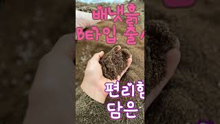 배냇흙B타입 출시!삽목,이식,분갈이 만능흙! 모든 식물용.좀 더 편리하게 사용하세요.