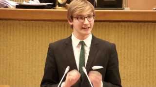 Youth Decide for Europe: MEP Lithuania'13: Final Mr. President speech