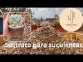 Sustrato para suculentas super efectivo!!! 🌵🤠 ideal para tener tus suculentas grandes y vigorosas 🏜