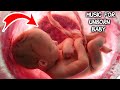 Music for unborn baby | Brain development Music for unborn baby | Brain development