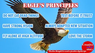 ঈগলের ৬টি নীতি যা বদলে দেবে মানুষের জীবন | Bangla Motivational | Eagle's Principle #tips#success#ঈগল