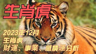 生肖虎🐯｜2023年12月生肖虎財運、事業、感情運分析｜生肖運勢｜CC字幕