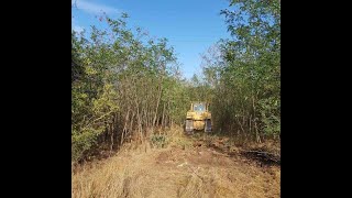 Пожарникари и доброволци се бориха с огнената стихия край Бъзън