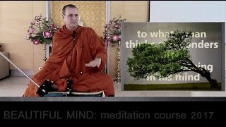 Beautiful Mind - Mindfulness Meditation Course week 4, with Pandit Bhikkhu