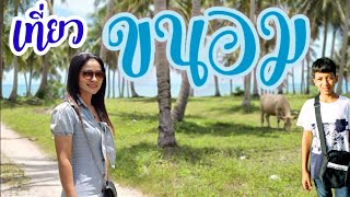 ขนอม ทะเลอ่าวไทย ถนนที่สวยที่สุดในอ่าวไทย แหล่งชมโลมาสีชมพู | ขนอม นครศรีฯ