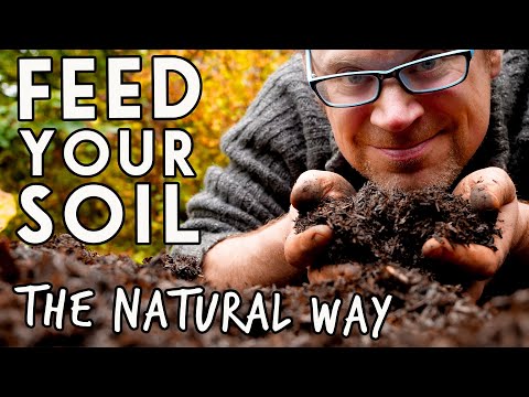 What makes soil healthy for plants?