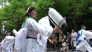 2023 牧野博士のふるさと・高知県マルシェ 夢源風人　1演舞目 その3