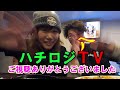 ハチロジtv 134 最高級の幻の牛‼️発見‼️｢路地ブラ食遊記！｣【茨木市】【campione】 見島牛のステーキ・カツカレー