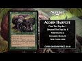 mtg top 10 squirrels magic the gathering episode 427