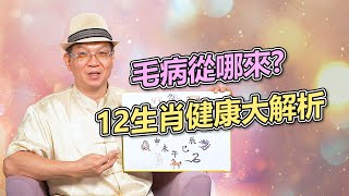 毛病從哪來?12生肖健康大解析| 測字達人張明老師 | 旺好運