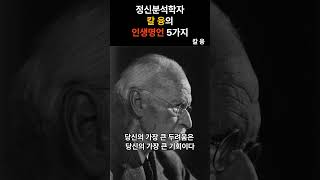 정신분석학자 칼 융의 인생명언 5가지 #칼융