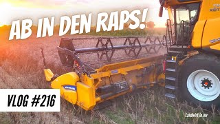 Vlog #216 Off to the rapeseed – dry or wet?