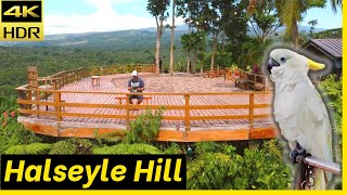 Road Trip VLOG Philippines: Halseyle Hill Misamis Oriental Mindanao