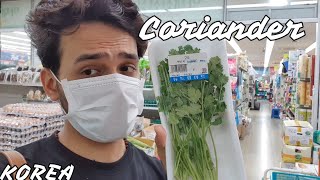 Vegetables Shopping In Korea !! IS IT EXPENSIVE ?? #AkshaySharma