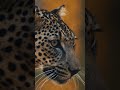 international arabian leopard day on the 10th of february