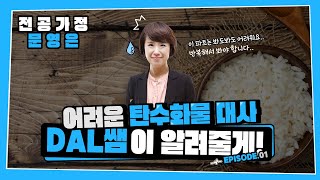 [가정 문영은] 1월 식영역, 어려운 탄수화물 대사 이해하기!! - 가정임용, 가정교육과