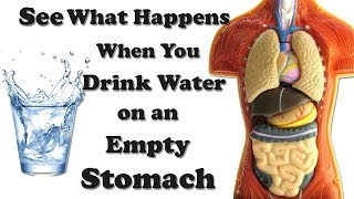 పరగడుపున నీళ్లు తాగితే.. ప్రయోజనాలెన్నో! Drink Water Empty Stomach