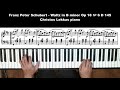 fr. schubert waltz in b minor op 18 № 6 d 145