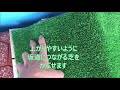 イシガメの冬眠用水槽を作りました