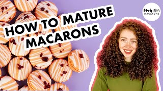 Macaron Tips | How to Mature Macarons (FIX HOLLOW MACARONS)