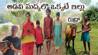 A single house in the middle of the forest || అడవి మధ్యలో ఒక్కటే ఇల్లు || #village video