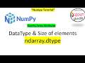 NumPy Array Attributes #4 | 