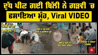 ਚੋਰੀ ਦੁੱਧ ਪੀਣ ਗਈ ਬਿੱਲੀ ਨੇ ਗੜਵੀ 'ਚ ਫਸਾਇਆ ਮੂੰਹ, Viral VIDEO