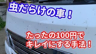 車の虫取りはどんな家庭にもあるアレで解決！コスト100円でボディについた虫を簡単除去！