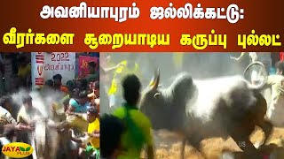 அவனியாபுரம் ஜல்லிக்கட்டு: வீரர்களை சூறையாடிய கருப்பு புல்லட் | Avaniyapuram Jallikattu 2022