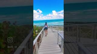 Walking to Paradise: A Caribbean Beach Adventure 🌴🌊