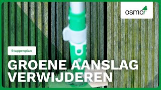 Groene Aanslag Verwijderen: Hoe Verwijder Ik Groene Aanslag? | Osmo Nederland