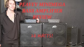 Peavey Mini Mega 1k Watt Bass Amplifier Review Into 4 Peavey Headliner 4×10 Speakers My Bass Cabinet