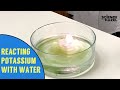 Reaction of Potassium with Water | Chemistry Practicals