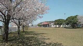 鹿児島県の桜名所4 旧国鉄大隅線古江駅跡 鹿屋市