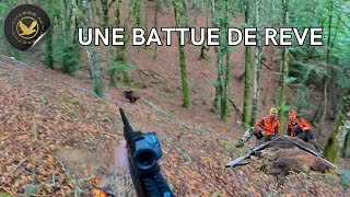 BATTUE AUX GROS GIBIER | UNE BATTUE EXCEPTIONNELLE !!!