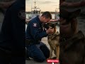 a coast guard officer s final moment with his dog viralshorts shorts dog dogs dogshorts