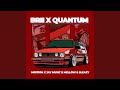 Brii x Quantum