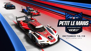 2024 iRacing Petit Le Mans powered by VCO | Michelin Raceway Road Atlanta