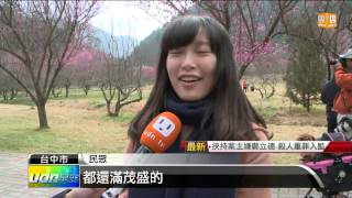 【2015.02.12】花開約四成 武陵櫻花季明開跑 -udn tv