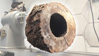 ROTTEN to the Core – and Perfect for Turning #woodturning